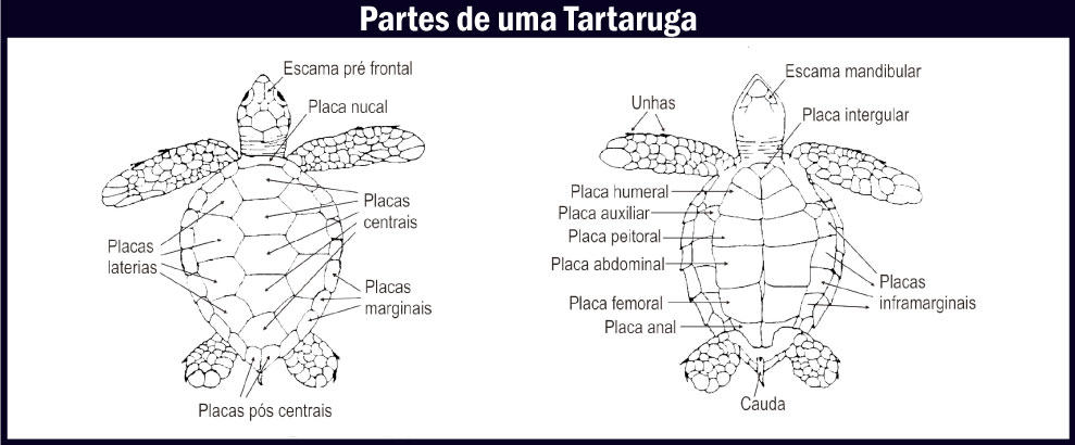 Aconteceu